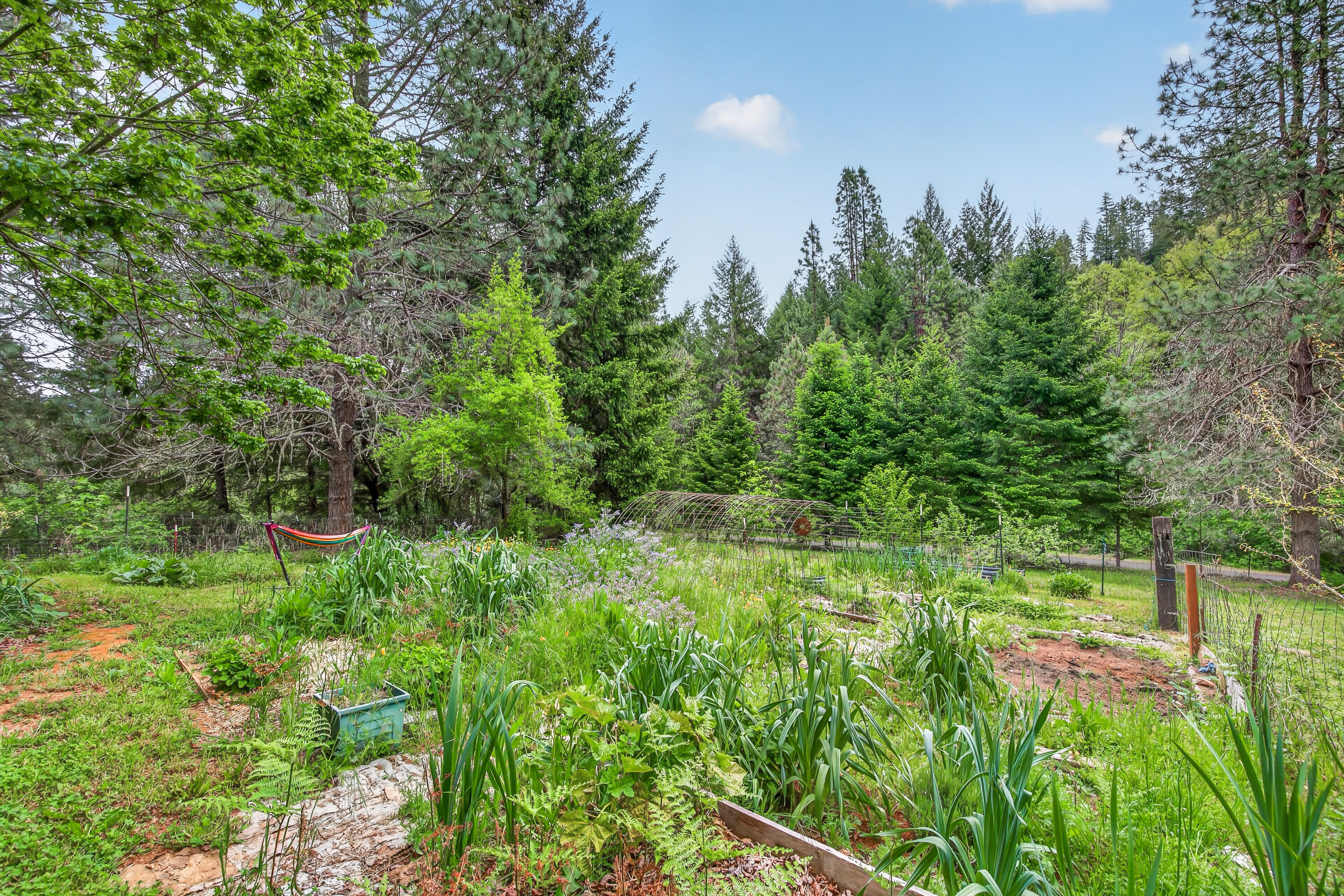 181 Brimstone Road Wolf Creek, OR 97497 - Photo 24 of 72 74-75