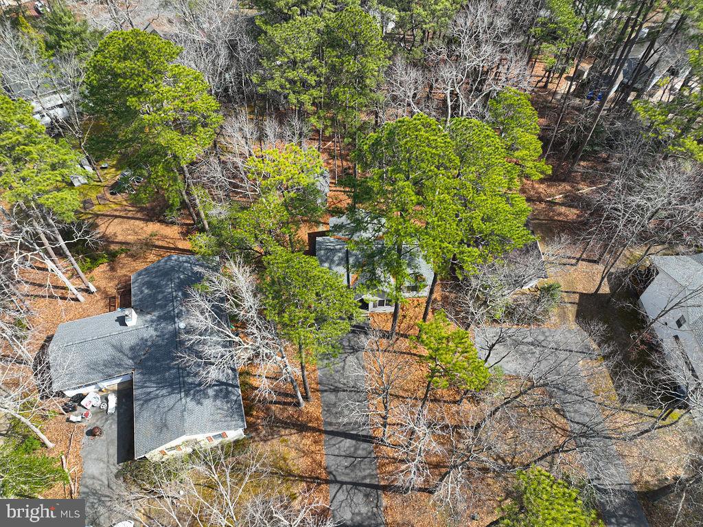 47 Falcon Bridge Road Ocean Pines, MD 21811 - Photo 43 of 78 a plant that is in a garden