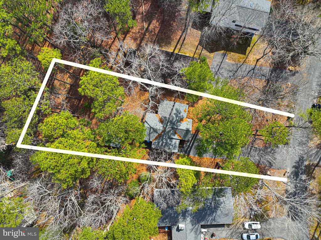 47 Falcon Bridge Road Ocean Pines, MD 21811 - Photo 49 of 78 a view of a yard with a street sign