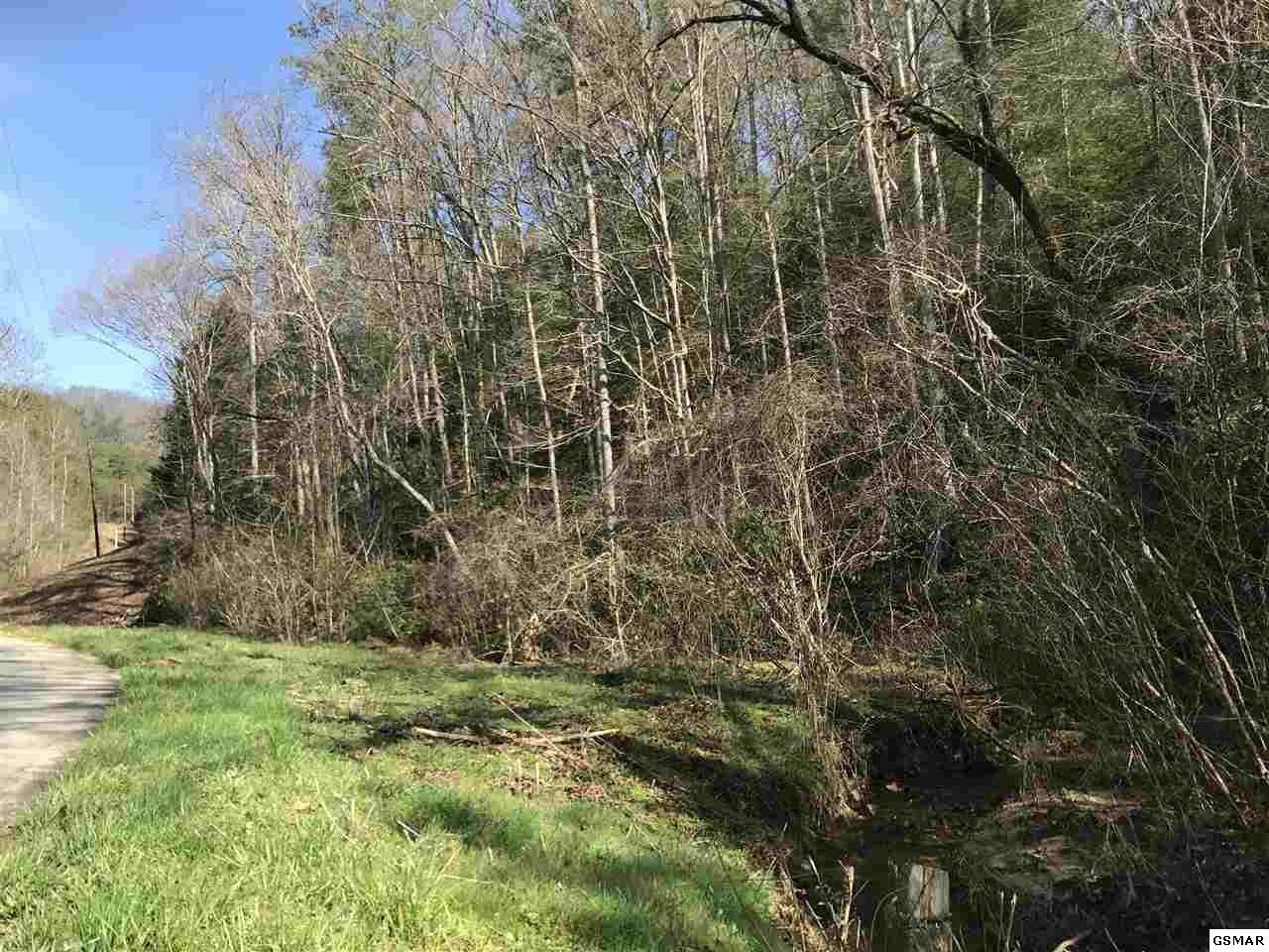 1 Obes Branch Road Sevierville, TN 37876 - Photo 1 of 11