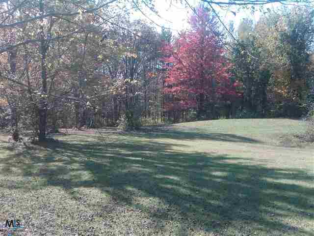 11037 Bryce Road Emmett, MI 48022 - Photo 15 of 18 This is another view of the yard.