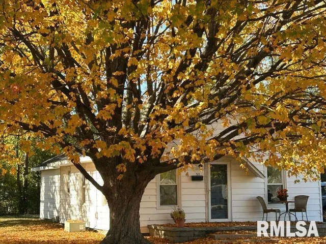 $79,900 | 511 North Shelby Avenue, Salem, IL 62881