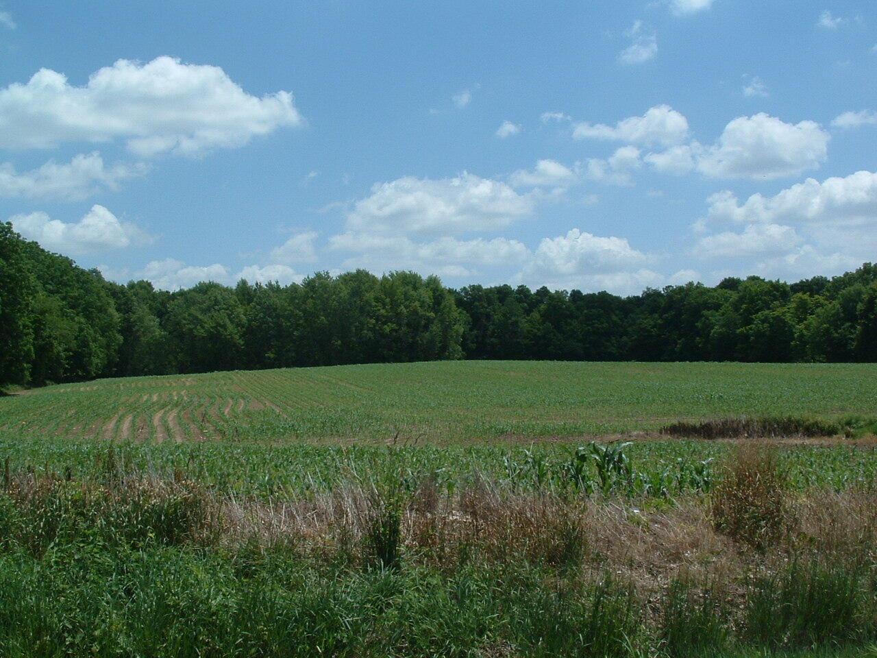 0 Clover Valley Road Northwest Johnstown, OH 43031 - Photo 2 of 16 DSCF0001