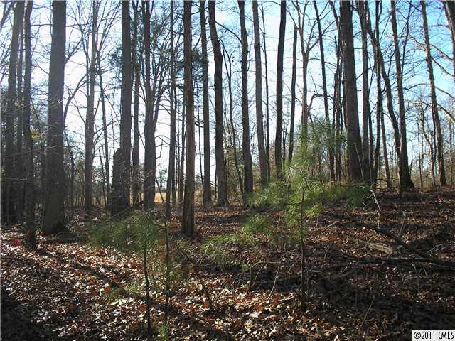 Vac Nance Road Stanfield, NC 28163 - Photo 3 of 3 Gallery Image 3