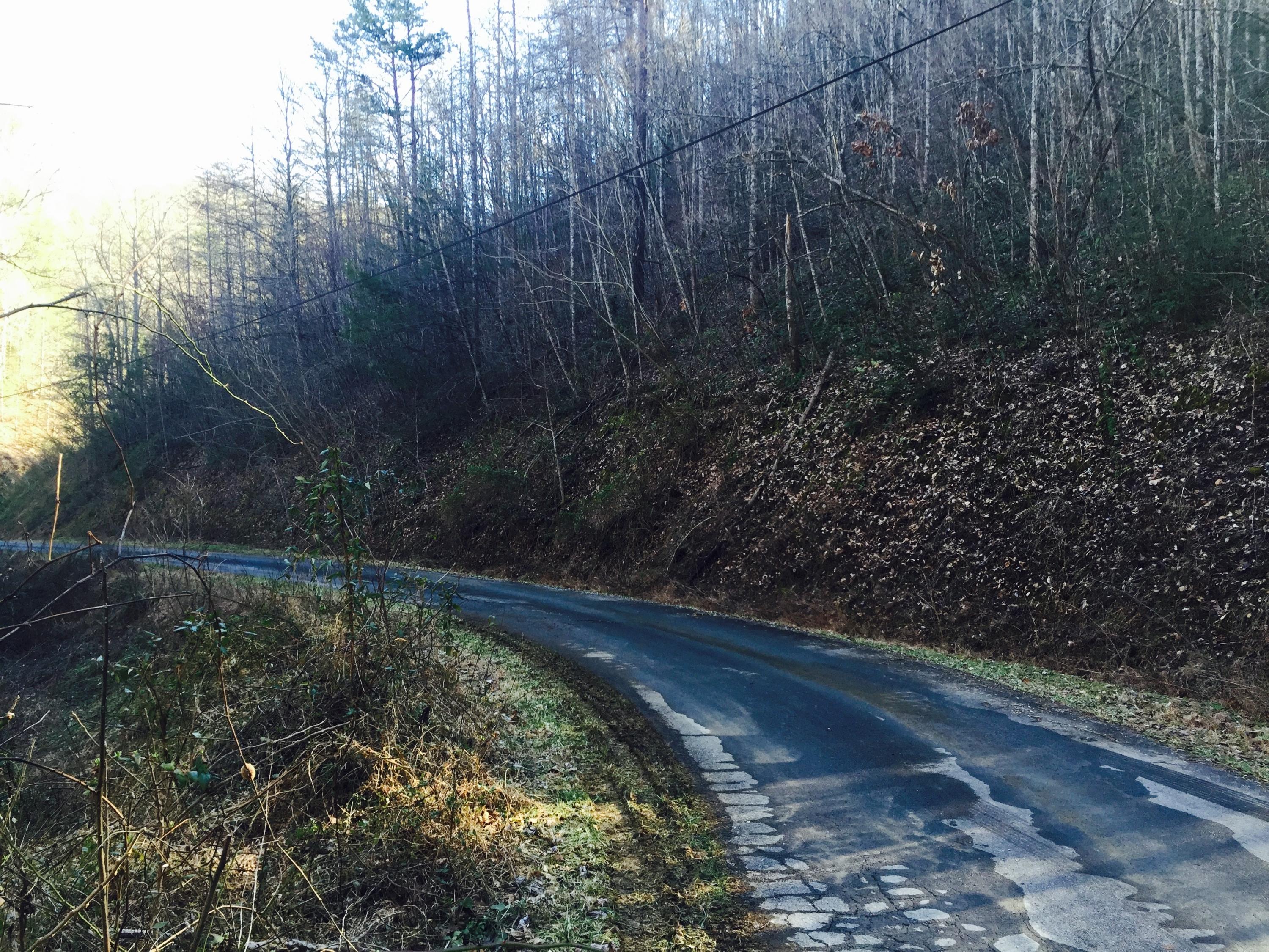 118.01 Powdermill Road Gatlinburg, TN 37738 - Photo 8 of 8 8
