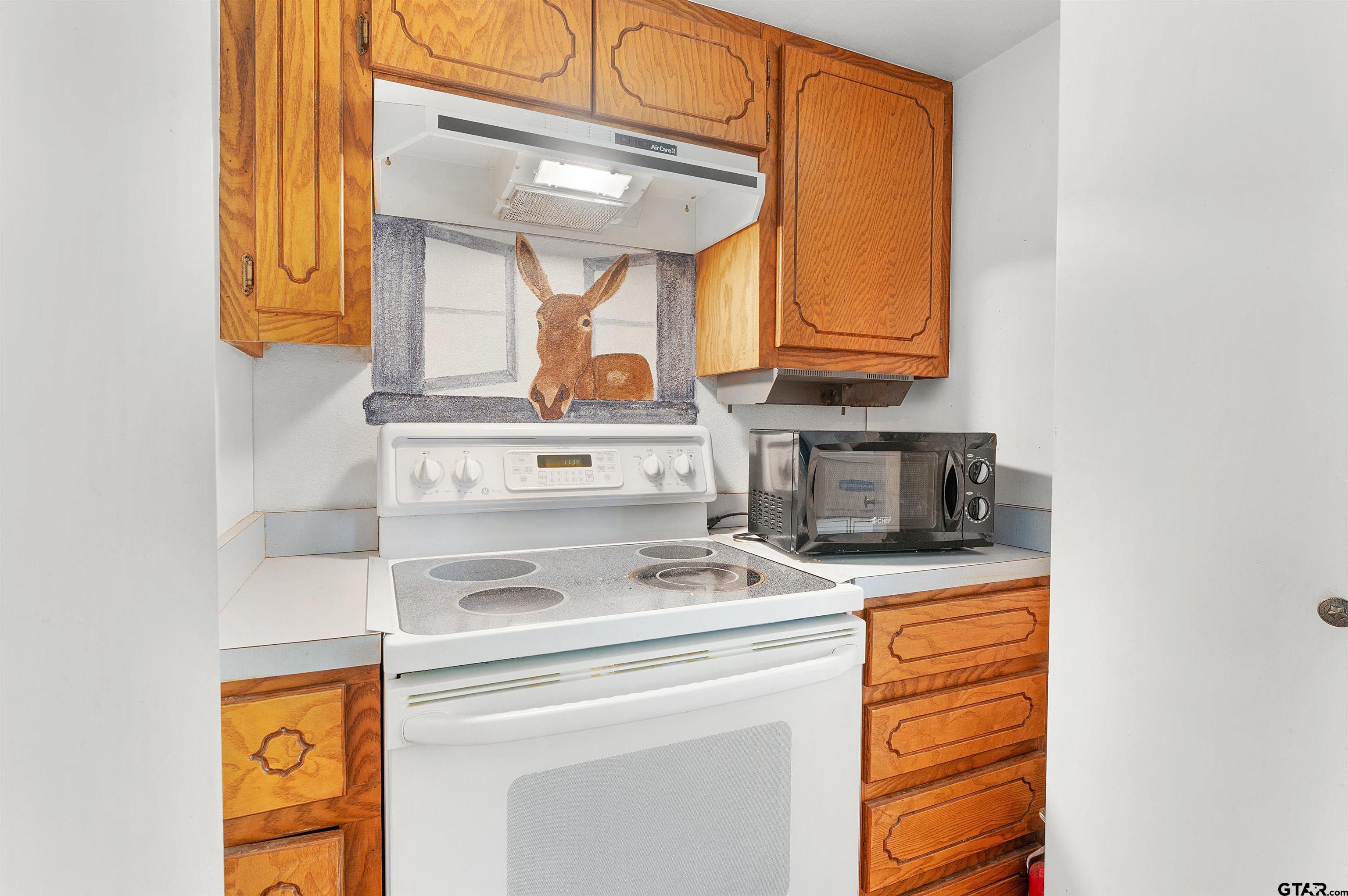 226 County Road 3533 Saltillo, TX 75478 - Photo 15 of 36 a kitchen with a stove and a microwave