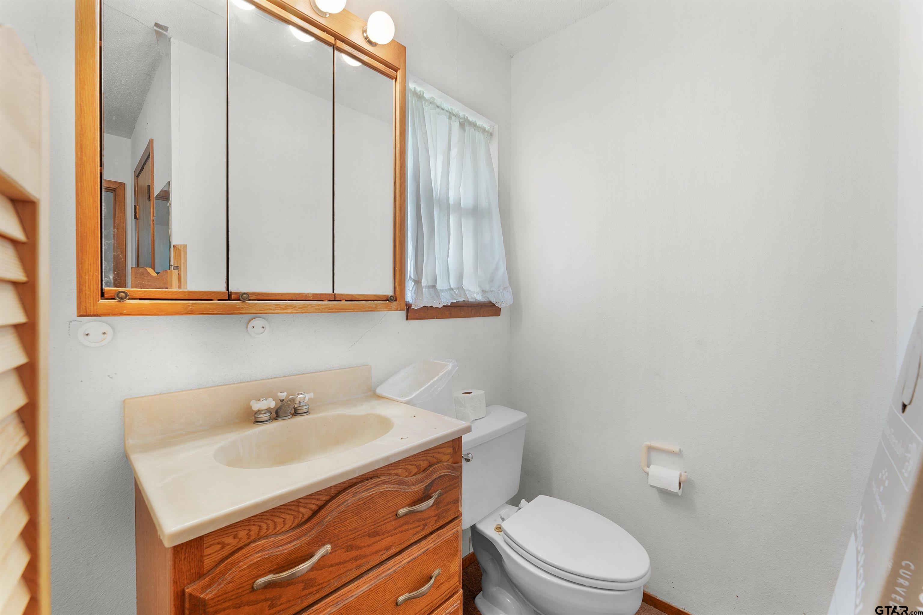 226 County Road 3533 Saltillo, TX 75478 - Photo 22 of 36 a bathroom with a sink a toilet and mirror