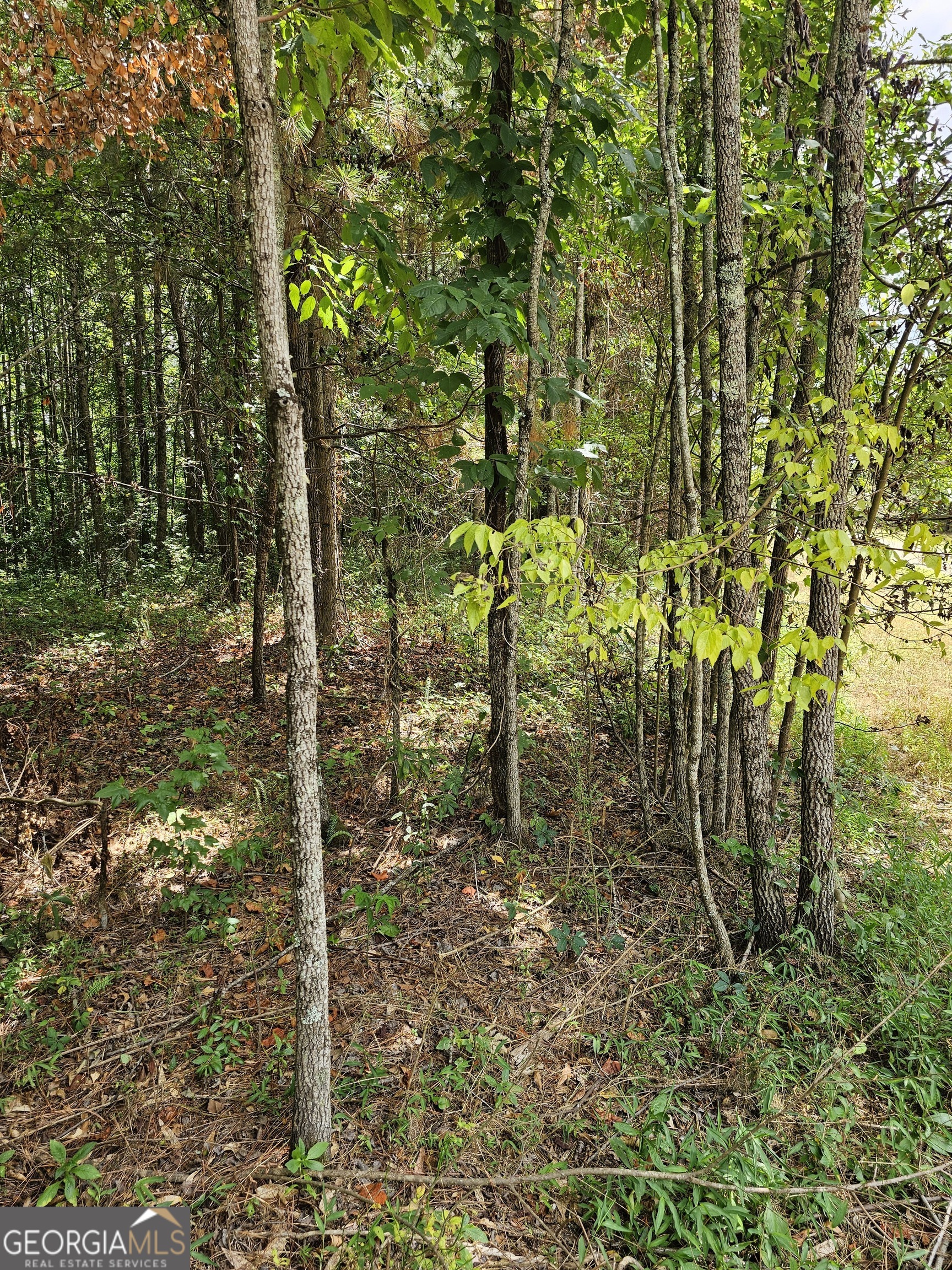 327 Jeffers Road Buchanan, GA 30113 - Photo 2 of 5 a view of an outdoor space