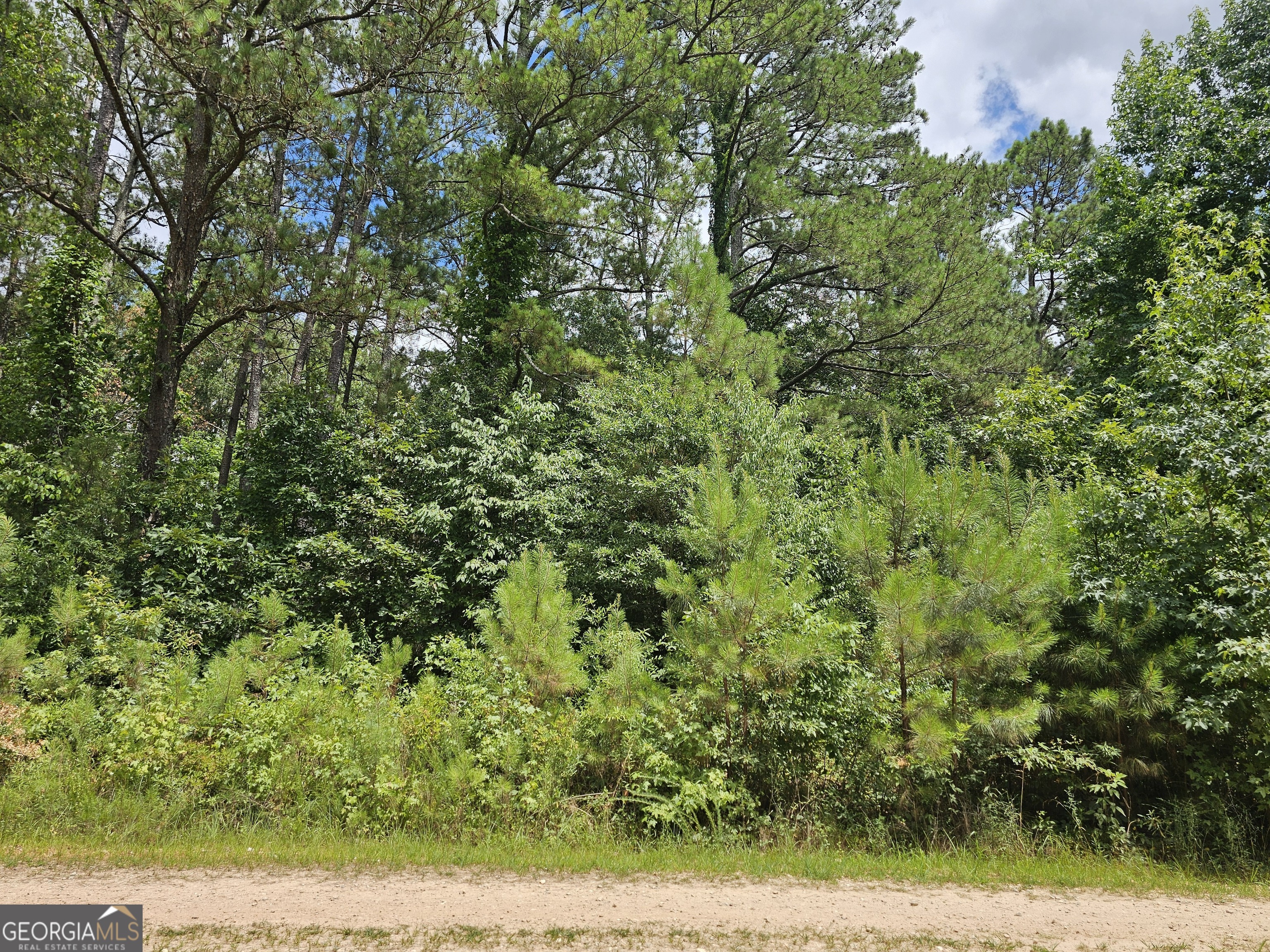 327 Jeffers Road Buchanan, GA 30113 - Photo 3 of 5