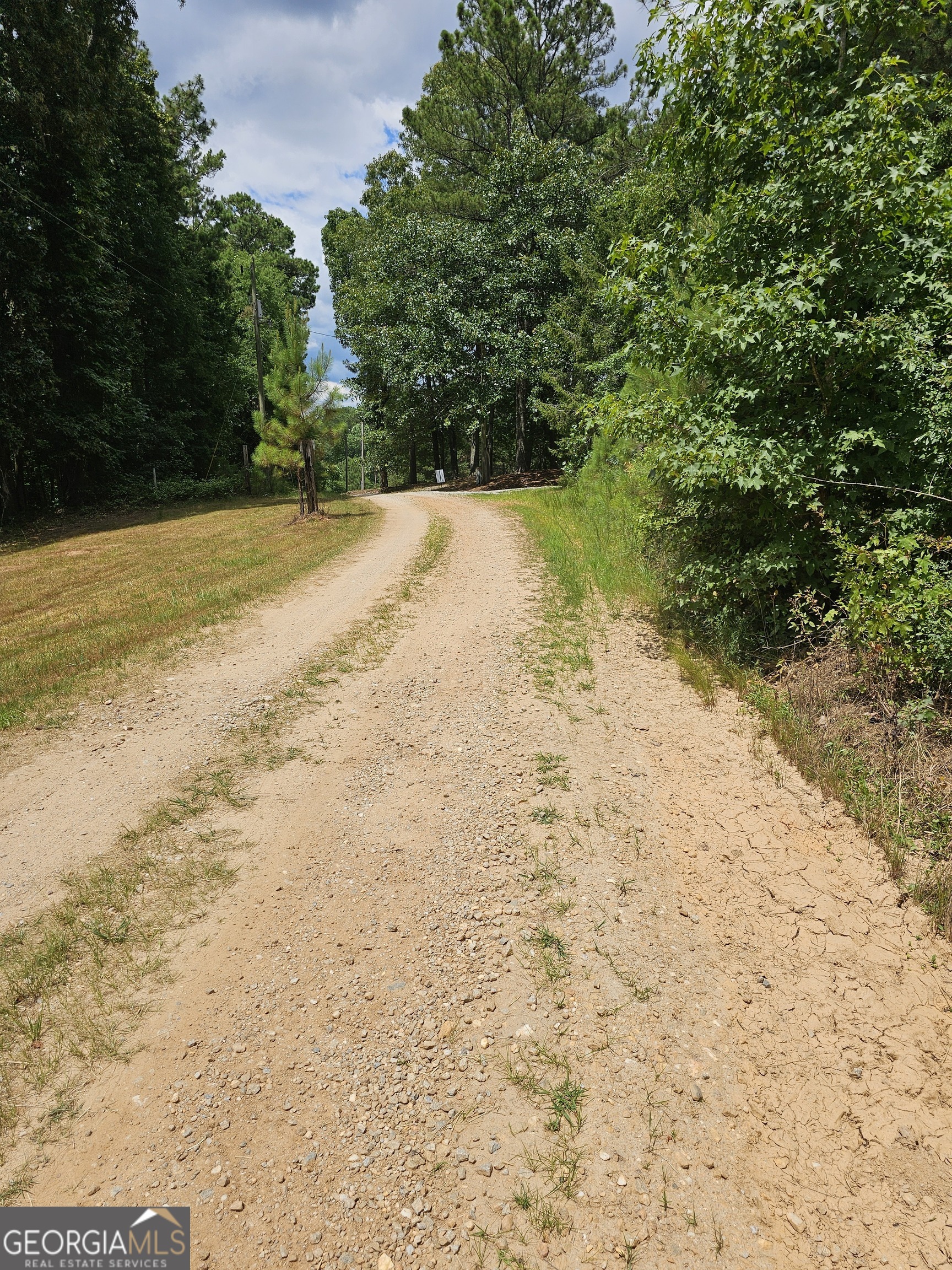 327 Jeffers Road Buchanan, GA 30113 - Photo 4 of 5 a view of a yard with a tree