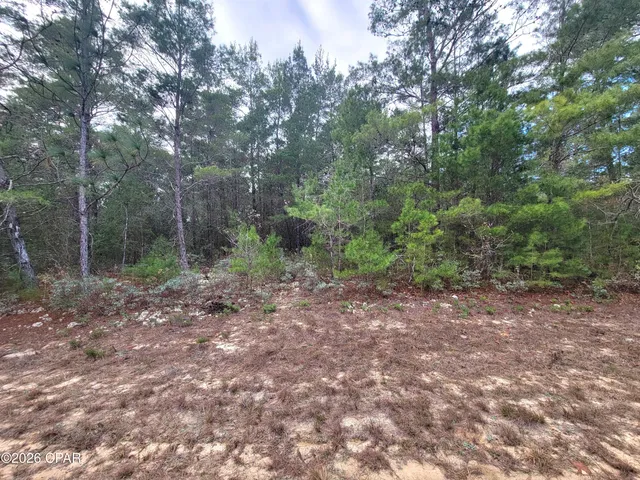 $17,000 | Tbd Tbd Luar Avenue, Chipley, FL 32428