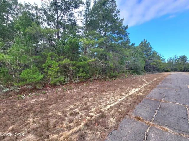 $17,000 | Tbd Tbd Luar Avenue, Chipley, FL 32428