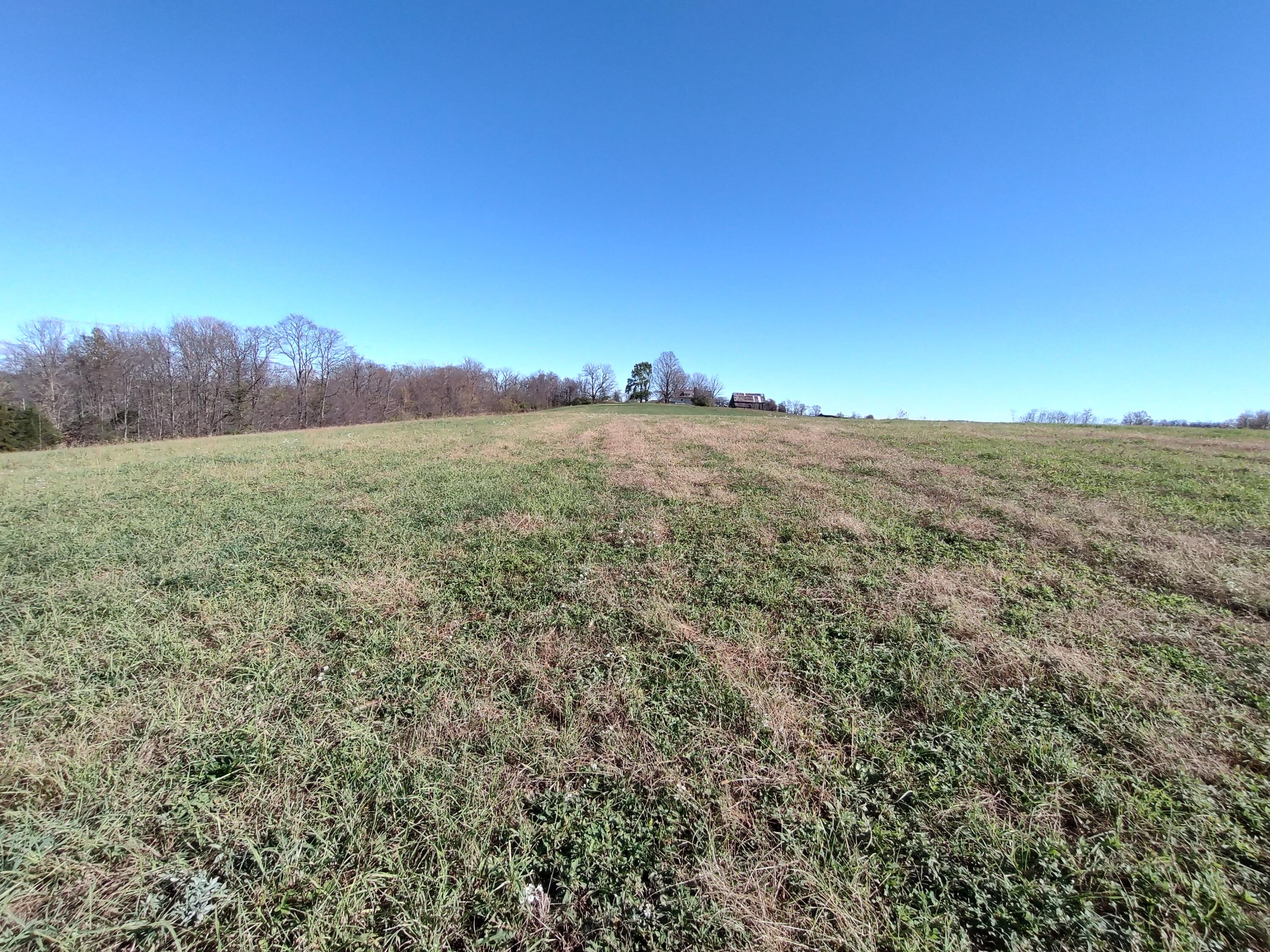 2199 Whetstone Road Carlisle, KY 40311 - Photo 30 of 57 IMG_20241112_124246571_HDR