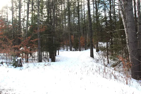 $119,000 | 162 Duell Hill Road, Horicon, NY 12815