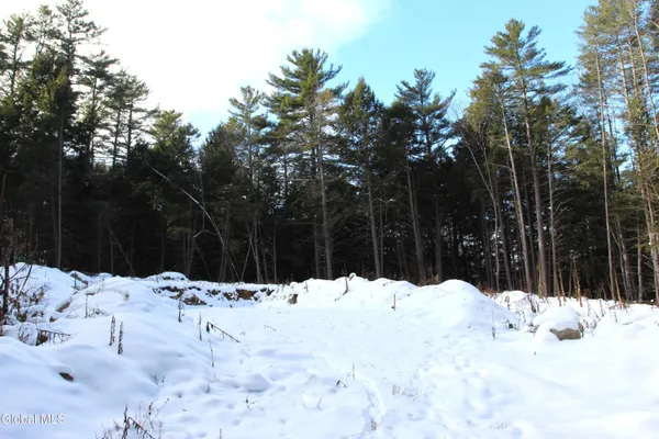 $119,000 | 162 Duell Hill Road, Horicon, NY 12815