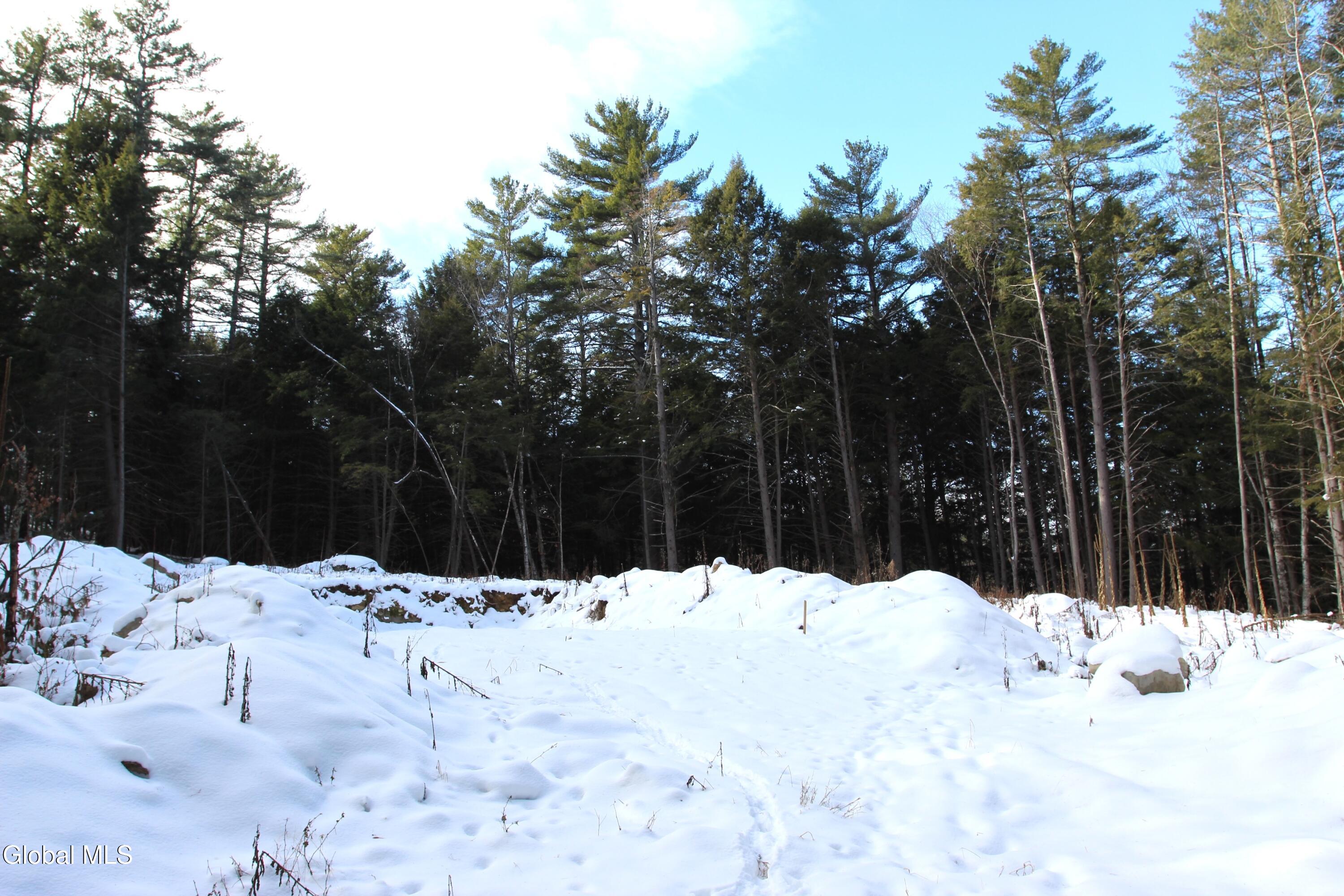 162 Duell Hill Road Horicon, NY 12815 - Photo 5 of 14 IMG_0976