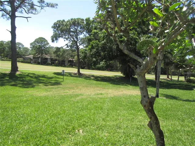 a view of a park with a tree