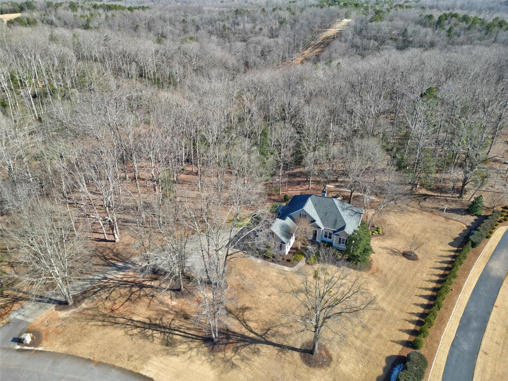 110 Waterbury Way Pendleton, SC 29670 - Photo 4 of 45 Ariel