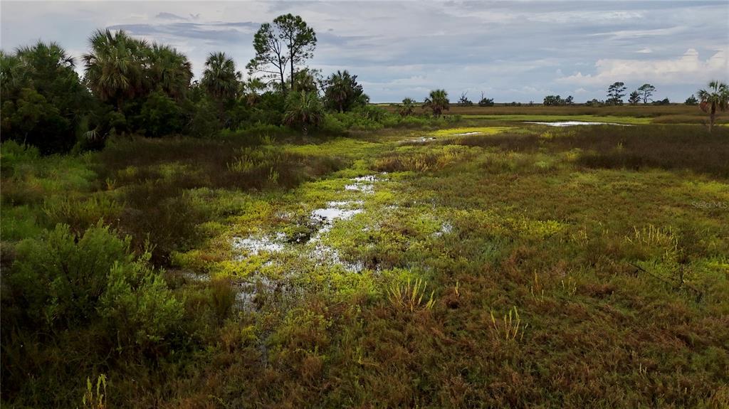 0 Lots 18 19 Adams Beach Road Perry, FL 32348 - Photo 9 of 25