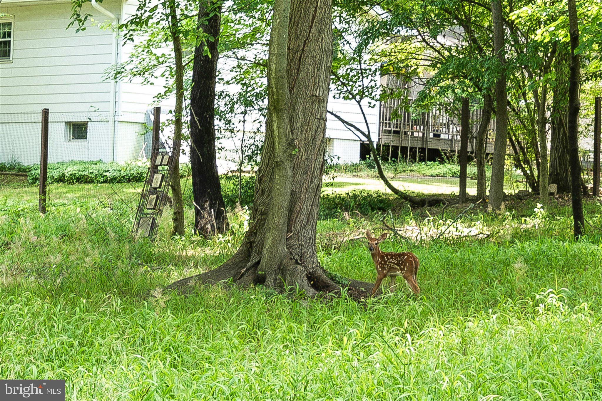 17 Forest Lane Ewing, NJ 08628 - Photo 47 of 48