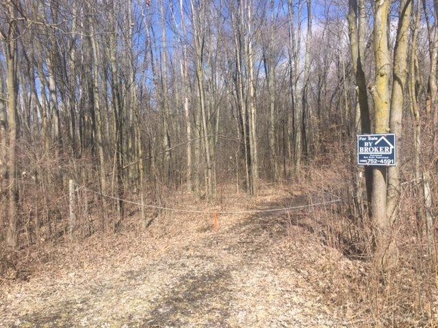 0 Marquette Road Goodells, MI 48027 - Photo 1 of 5