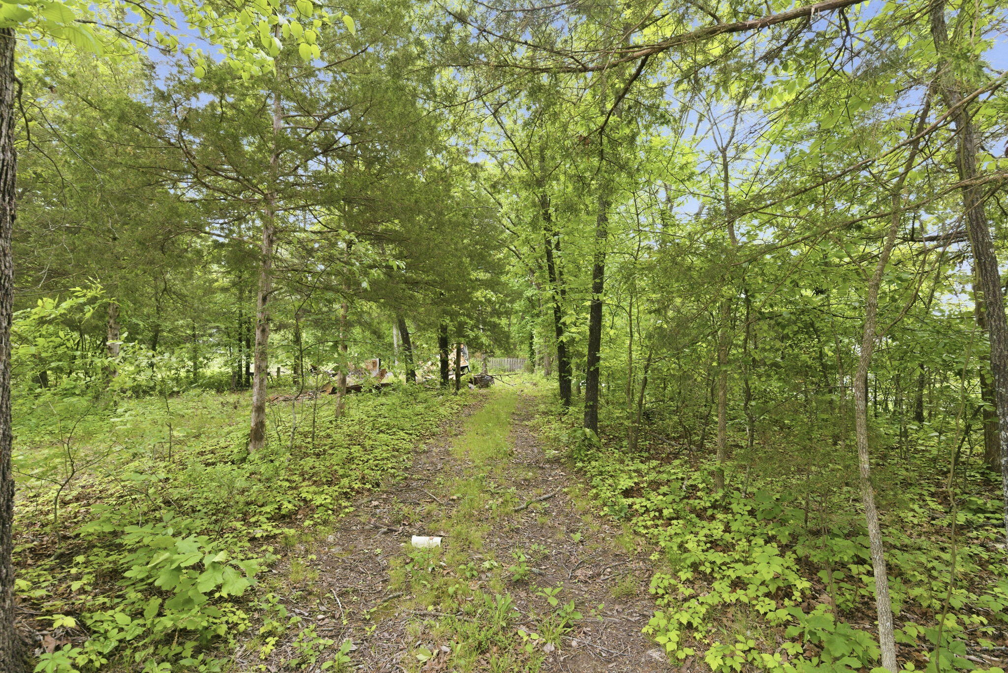 0 Tate Road Ridgedale, MO 65739 - Photo 6 of 17 4-web-or-mls-DSC05684