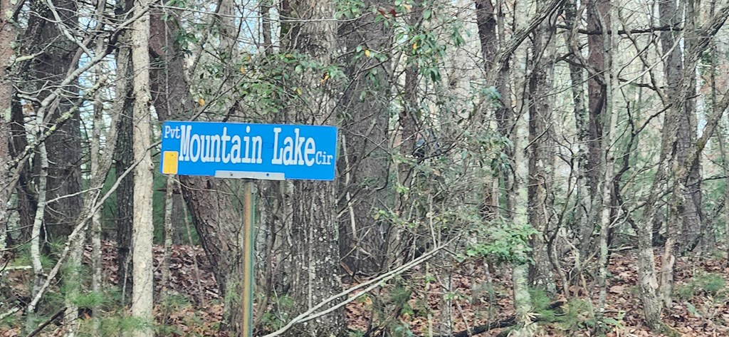 3-lots Ridgecrest Drive Blue Ridge, GA 30513 - Photo 17 of 17 a view of a wooden house with large trees