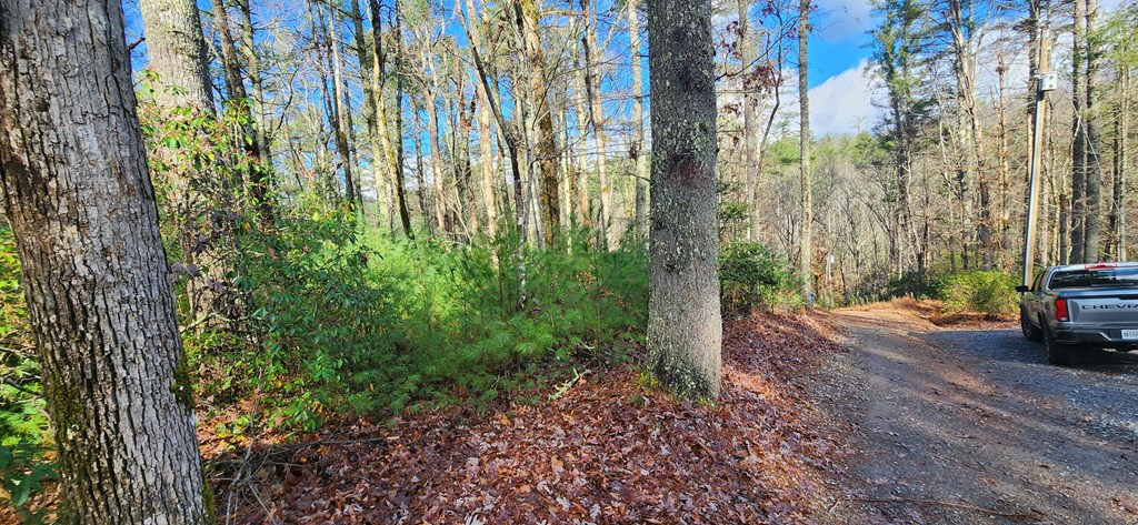3-lots Ridgecrest Drive Blue Ridge, GA 30513 - Photo 6 of 17 a view of yard with trees in background