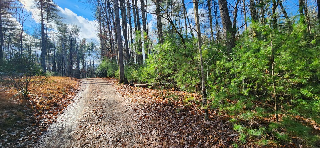 3-lots Ridgecrest Drive Blue Ridge, GA 30513 - Photo 7 of 17 a view of backyard of house