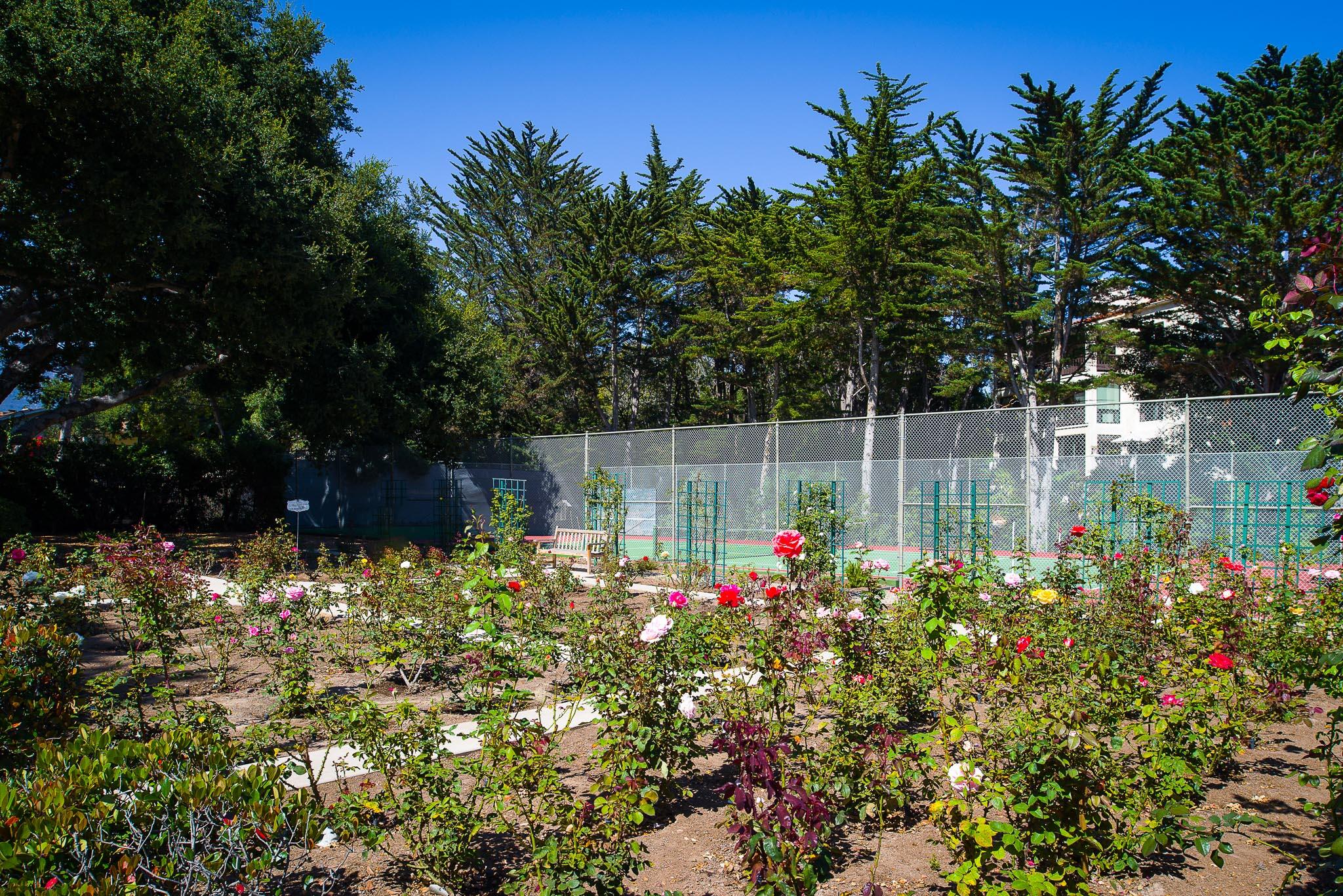 1300 Plaza Pacifica Montecito Ca Montecito, CA 93108 - Photo 24 of 31 a view of a garden