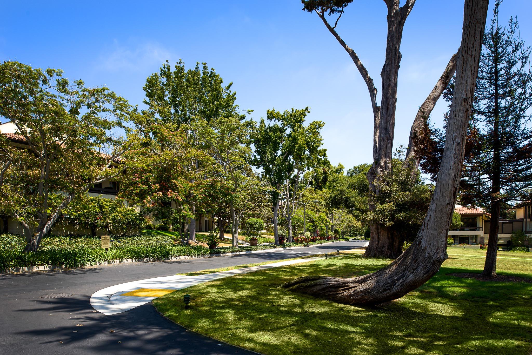 1300 Plaza Pacifica Montecito Ca Montecito, CA 93108 - Photo 3 of 31 a view of a yard with large trees