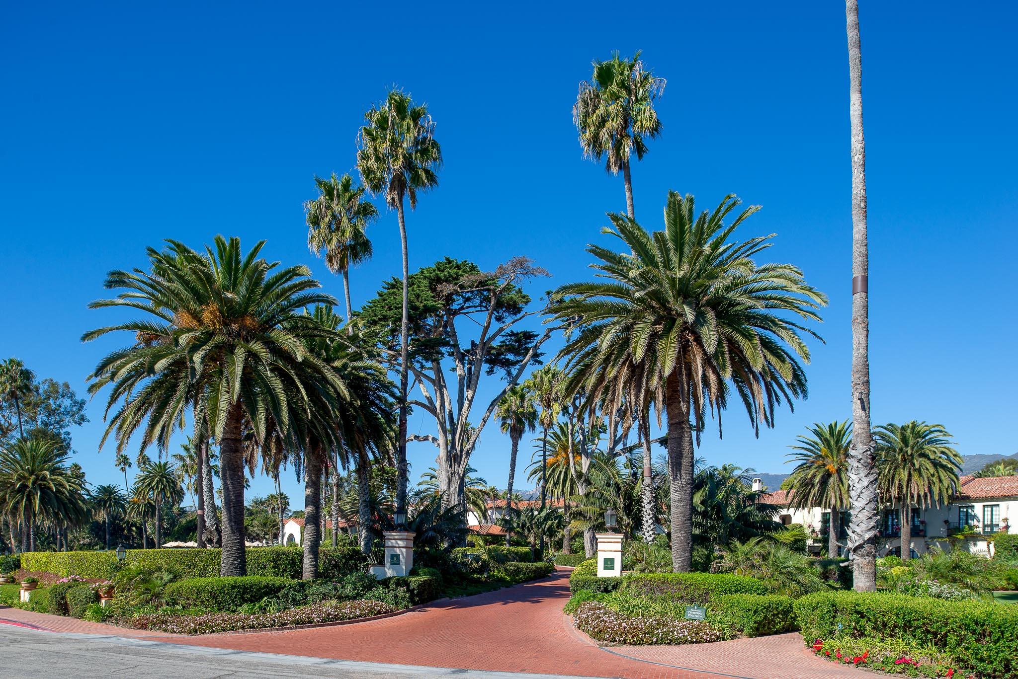 1300 Plaza Pacifica Montecito Ca Montecito, CA 93108 - Photo 31 of 31 a view of a yard with a palm tree