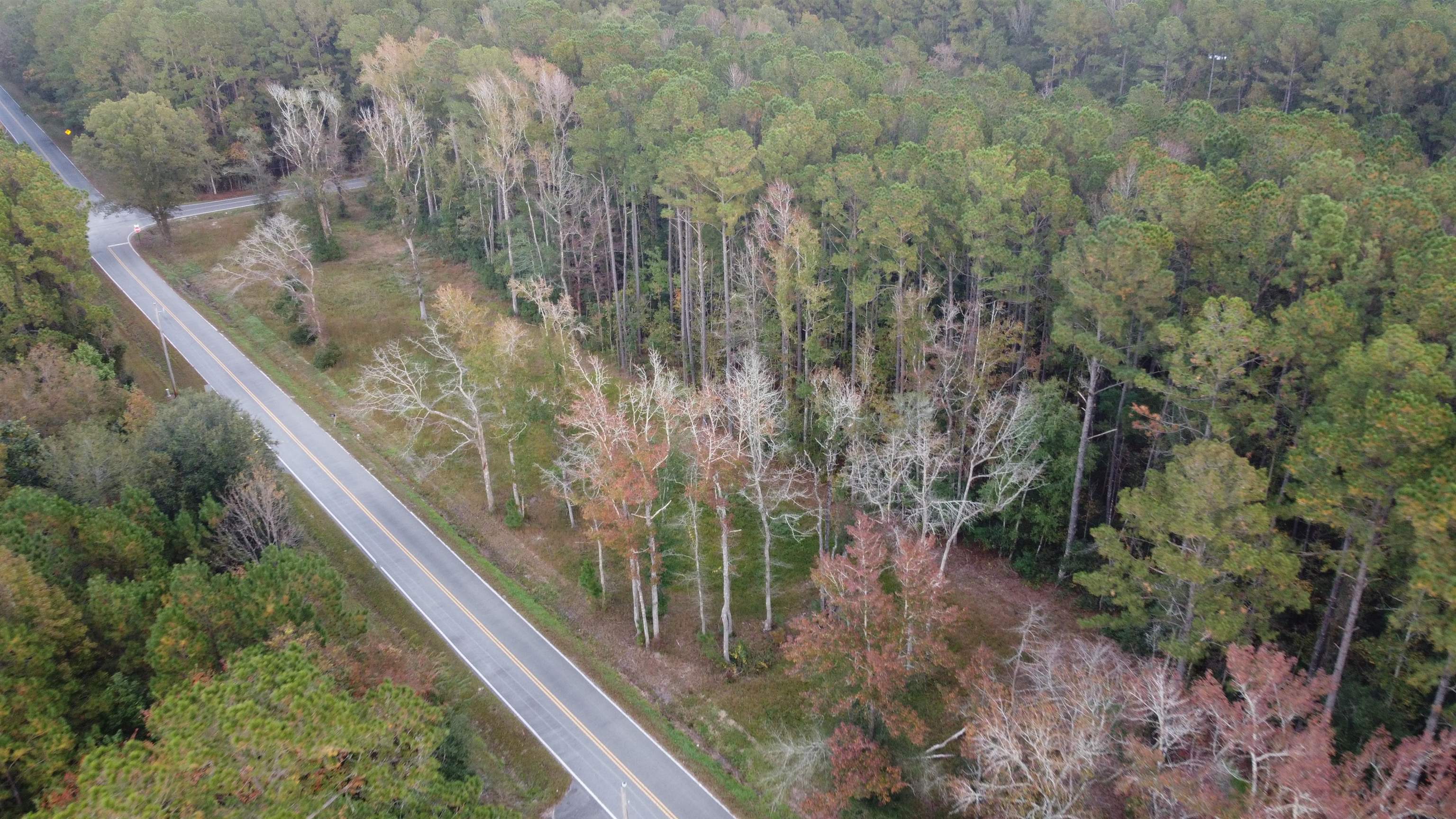 Tract A Oscar Road Little River, SC 29566 - Photo 2 of 12 Gallery Image 2