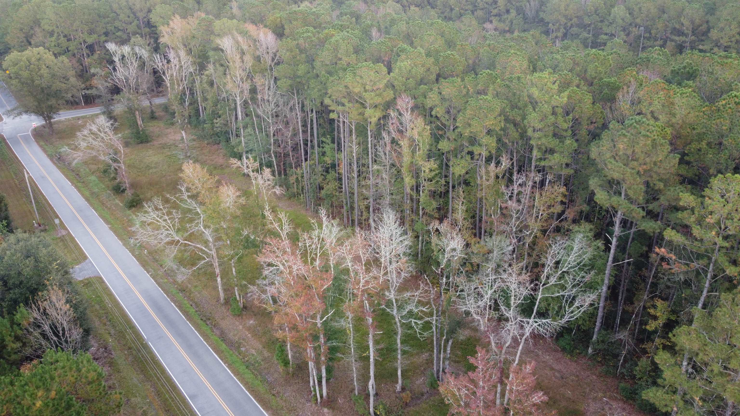 Tract A Oscar Road Little River, SC 29566 - Photo 8 of 12 Gallery Image 8