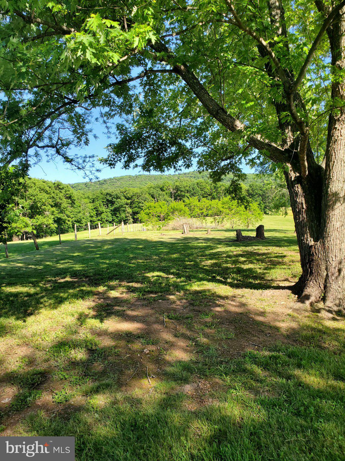 7881 Ford Hill Road Rio, WV 26755 - Photo 1 of 27 Serene countryside under lush trees.
