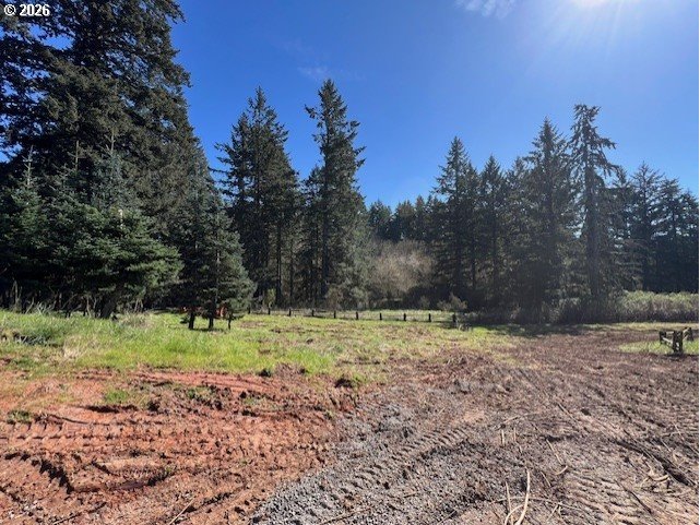 13707 Northwest Bishop Road Hillsboro, OR 97124 - Photo 13 of 45 a view of a yard with a tree
