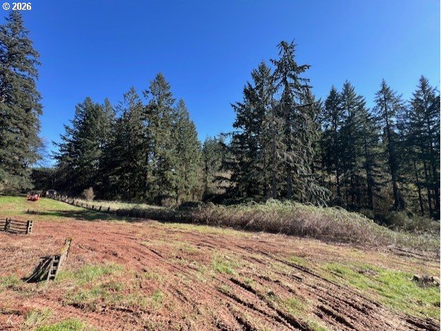 13707 Northwest Bishop Road Hillsboro, OR 97124 - Photo 14 of 45 a view of outdoor space with yard
