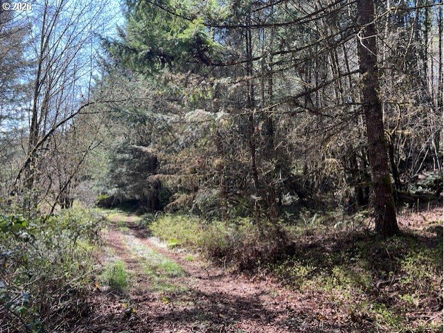 13707 Northwest Bishop Road Hillsboro, OR 97124 - Photo 16 of 45 a backyard of a house with lots of green space