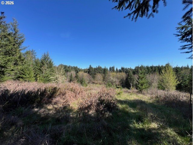 13707 Northwest Bishop Road Hillsboro, OR 97124 - Photo 17 of 45 a view of mountain view with mountains in the background