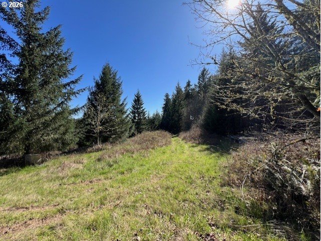 13707 Northwest Bishop Road Hillsboro, OR 97124 - Photo 18 of 45 a view of outdoor space and trees