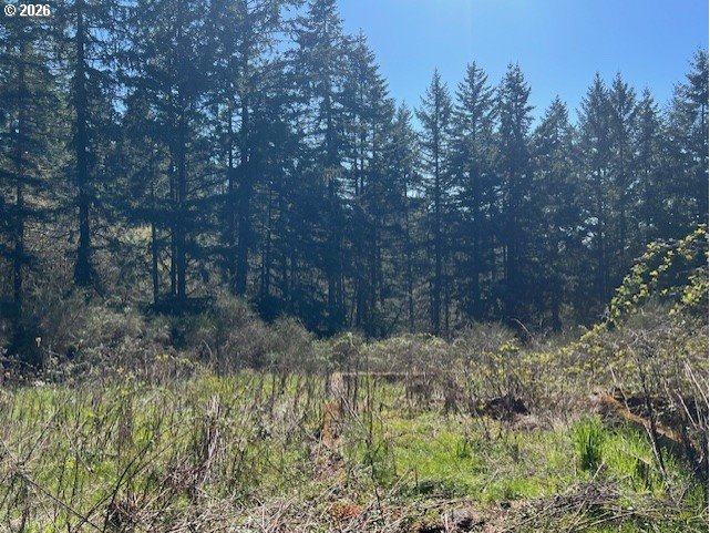 13707 Northwest Bishop Road Hillsboro, OR 97124 - Photo 19 of 45 a view of a yard with large trees