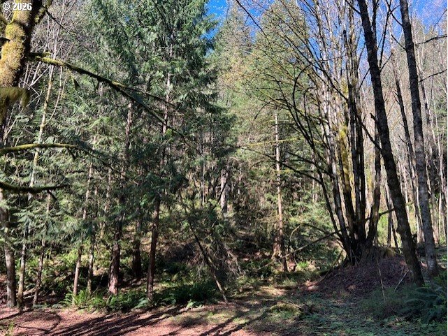 13707 Northwest Bishop Road Hillsboro, OR 97124 - Photo 20 of 45