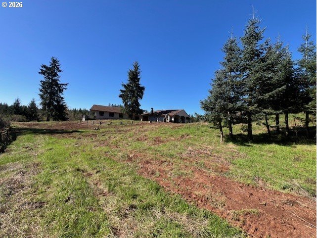 13707 Northwest Bishop Road Hillsboro, OR 97124 - Photo 2 of 45 a view of a yard with a tree