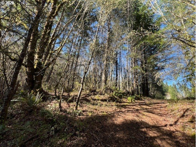 13707 Northwest Bishop Road Hillsboro, OR 97124 - Photo 30 of 45