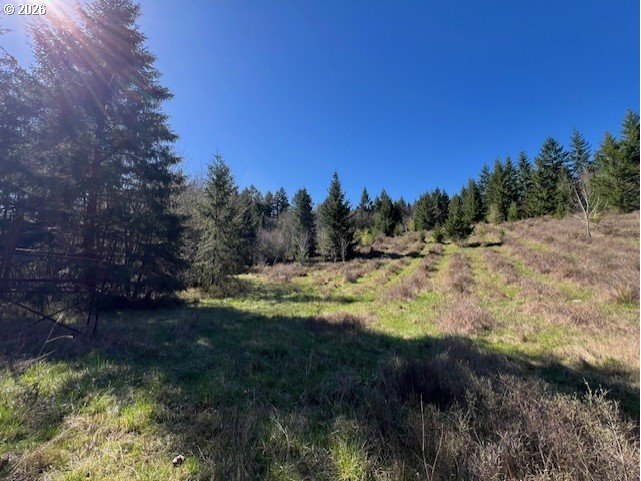 13707 Northwest Bishop Road Hillsboro, OR 97124 - Photo 32 of 45 a view of a yard with a tree