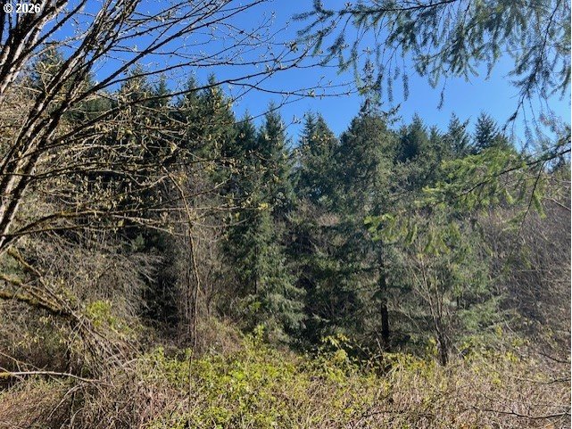 13707 Northwest Bishop Road Hillsboro, OR 97124 - Photo 33 of 45 a view of a yard