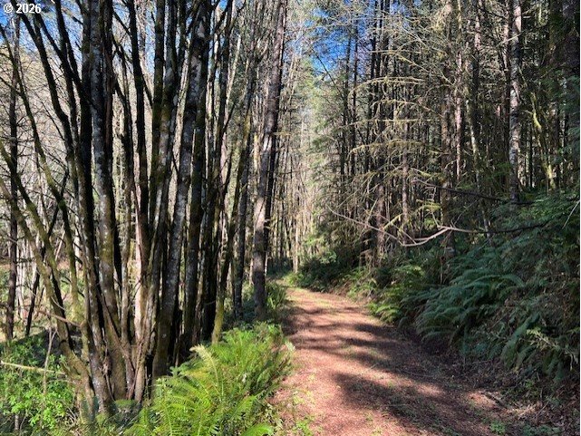 13707 Northwest Bishop Road Hillsboro, OR 97124 - Photo 34 of 45 a view of a garden with plants and trees