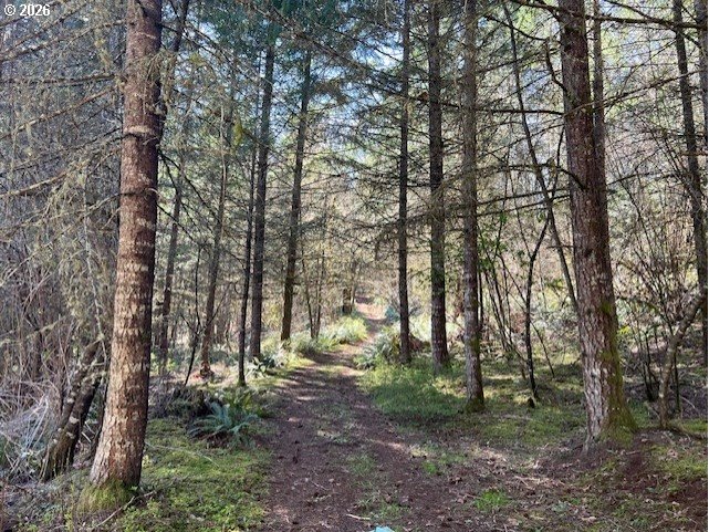 13707 Northwest Bishop Road Hillsboro, OR 97124 - Photo 35 of 45 a backyard of a house with lots of green space