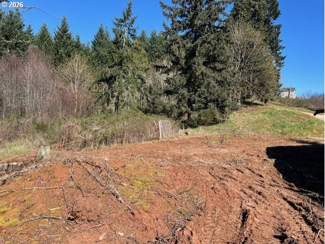 13707 Northwest Bishop Road Hillsboro, OR 97124 - Photo 38 of 45 a view of a yard with trees