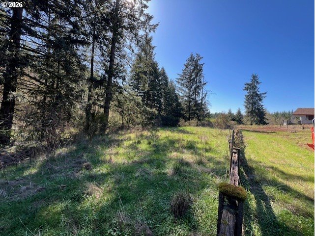 13707 Northwest Bishop Road Hillsboro, OR 97124 - Photo 39 of 45 a view of a yard with a tree